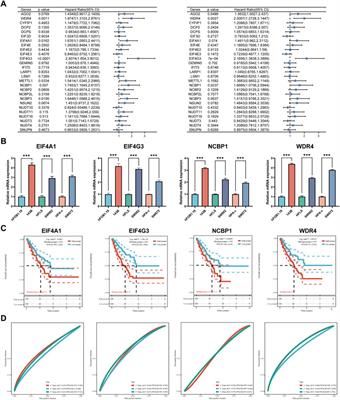 Identification and verification of m7G-Related genes as biomarkers for prognosis of sarcoma